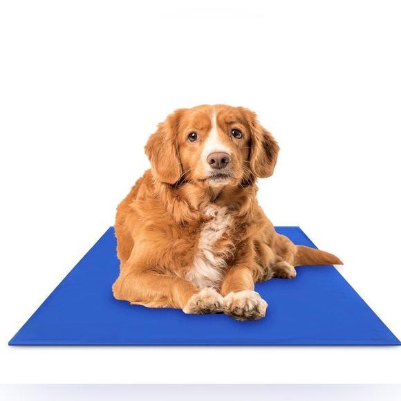 Chillz Other - Chillz Dog or Cat cooling pad in blue size medium NIB